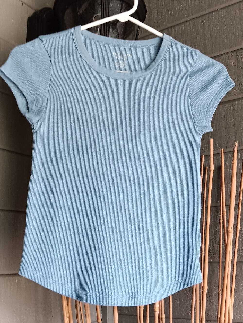 LOT OF 2 American Eagle Outfitters Blue Baby Tees Size XS - Picture 3 of 8
